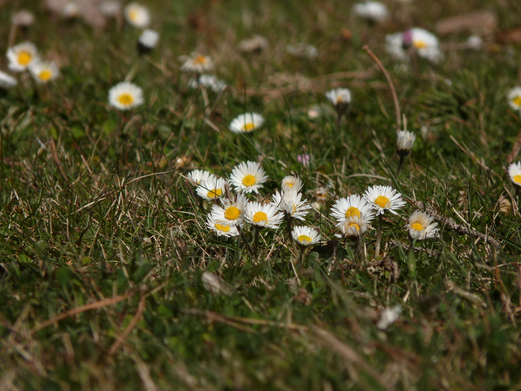 No s'ha trobat l'arxiu